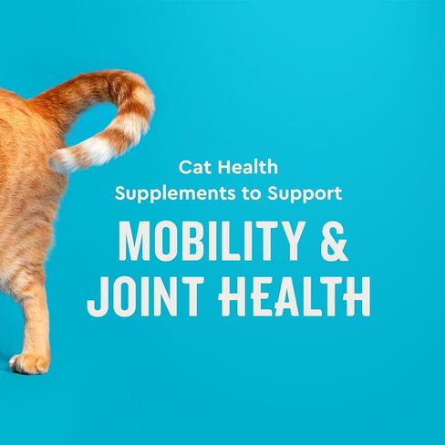 VetIQ Cat Hip & Joint Supplement, Chicken Flavored Cat Supplement with Glucosamine and Green Lipped Mussel for Mobility and Arthritis Support, 3.7oz in Saudi Arabia