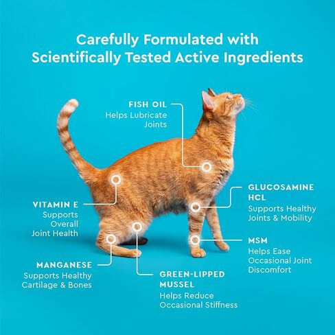 VetIQ Cat Hip & Joint Supplement, Chicken Flavored Cat Supplement with Glucosamine and Green Lipped Mussel for Mobility and Arthritis Support, 3.7oz in Saudi Arabia
