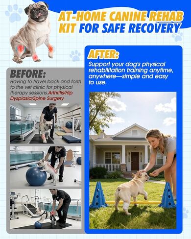 مجموعة مخروط حواجز خفة الحركة للكلاب، مجموعة الفناء الخلفي لرشاقة الكلاب مع شريط قابل للتعديل للارتفاع لإعادة التأهيل والمبتدئين، معدات خفة الحركة للكلاب لبدء تدريب مسار عوائق الكلاب - 12 بوصة in Kuwait