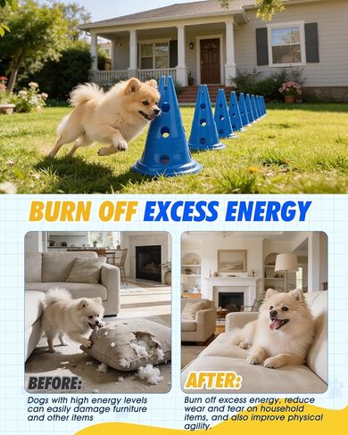 مجموعة مخروط حواجز خفة الحركة للكلاب، مجموعة الفناء الخلفي لرشاقة الكلاب مع شريط قابل للتعديل للارتفاع لإعادة التأهيل والمبتدئين، معدات خفة الحركة للكلاب لبدء تدريب مسار عوائق الكلاب - 12 بوصة in Kuwait