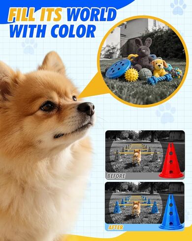 مجموعة مخروط حواجز خفة الحركة للكلاب، مجموعة الفناء الخلفي لرشاقة الكلاب مع شريط قابل للتعديل للارتفاع لإعادة التأهيل والمبتدئين، معدات خفة الحركة للكلاب لبدء تدريب مسار عوائق الكلاب - 12 بوصة in Kuwait
