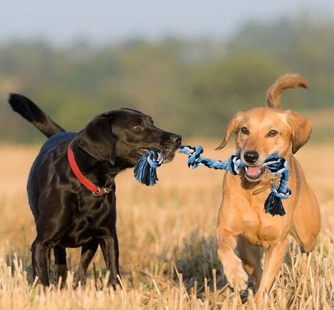 Bmag Dog Rope Toys for Aggressive Chewers, Interactive Heavy Duty Dog Toys for Medium Large Dogs, Tough Twisted Rope Toy with 5 Knots (Blud) in Saudi Arabia