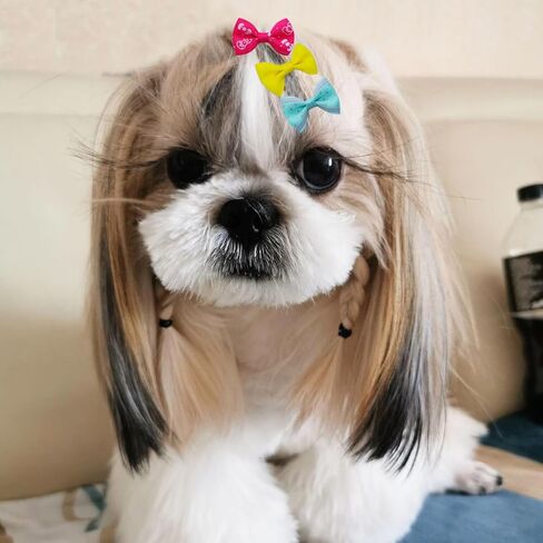 40PCS Dog Hair Bows with Clips 1.5Inch Girl Small Dog Apparel Accessories for Pet Puppy Cat Kitten Rabbit Hair Bows Clips in Saudi Arabia