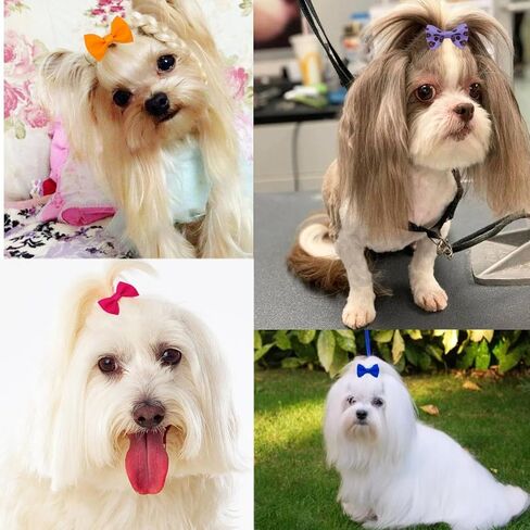 40PCS Dog Hair Bows with Clips 1.5Inch Girl Small Dog Apparel Accessories for Pet Puppy Cat Kitten Rabbit Hair Bows Clips in Saudi Arabia