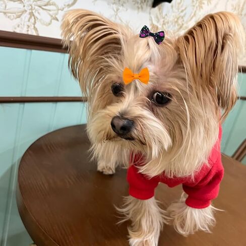 40PCS Dog Hair Bows with Clips 1.5Inch Girl Small Dog Apparel Accessories for Pet Puppy Cat Kitten Rabbit Hair Bows Clips in Saudi Arabia