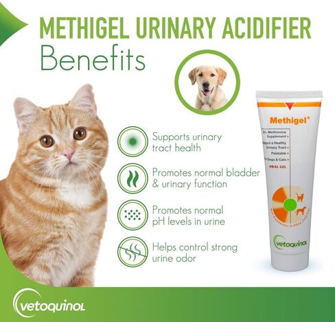 Vetoquinol Methigel Urinary Acidifier to Promote Urinary and Bladder Health for Dogs & Cats in Saudi Arabia