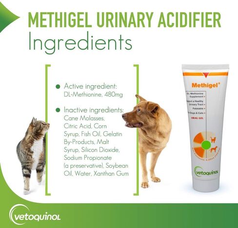 Vetoquinol Methigel Urinary Acidifier to Promote Urinary and Bladder Health for Dogs & Cats in Saudi Arabia