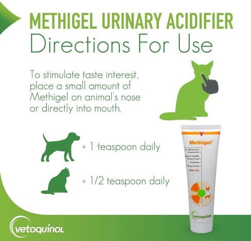 Vetoquinol Methigel Urinary Acidifier to Promote Urinary and Bladder Health for Dogs & Cats in Saudi Arabia