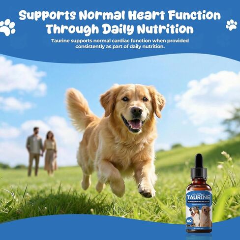 Taurine Liquid Supplement for Dogs, Daily Amino Acid Drops Supporting Heart & Muscle Function, Energy Balance & Physical Stability, 60 ml in Saudi Arabia