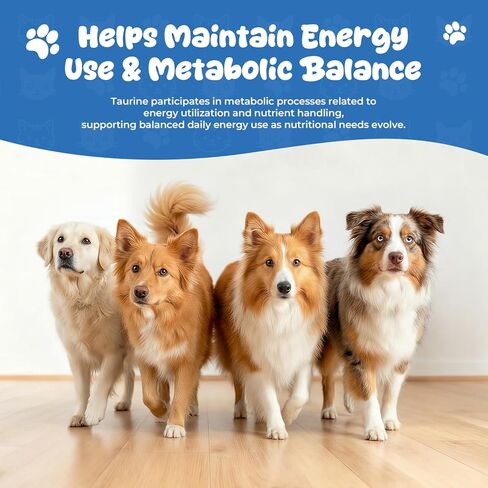 Taurine Liquid Supplement for Dogs, Daily Amino Acid Drops Supporting Heart & Muscle Function, Energy Balance & Physical Stability, 60 ml in Saudi Arabia
