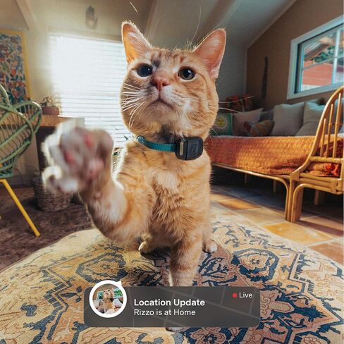 Fi Mini GPS Tracker for Cats — Lightweight Collar Attachment, Virtual Fences, Escape Alerts, Step & Health Tracking, Waterproof Cat Tracker — 6-Month Membership Included in Saudi Arabia