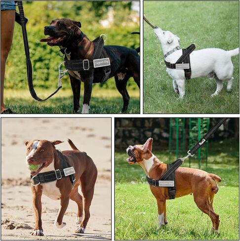 SlowTon No Pull Dog Harness - Heavy Duty Dog Harness and Leash Set for Medium Large Dogs, Reflective Tactical Harness with Soft Padded and Front Clip for Easy Walk and Training (Black L) in Saudi Arabia