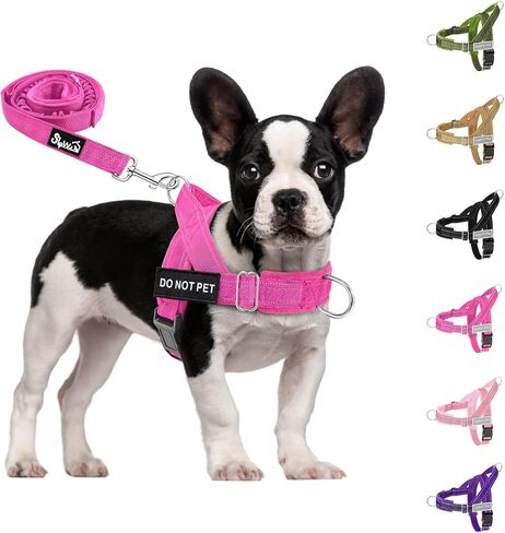 SlowTon No Pull Dog Harness - Heavy Duty Dog Harness and Leash Set for Medium Large Dogs, Reflective Tactical Harness with Soft Padded and Front Clip for Easy Walk and Training (Black L) in Saudi Arabia
