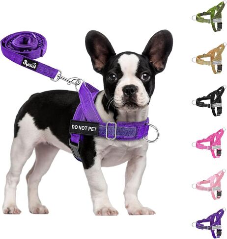 SlowTon No Pull Dog Harness - Heavy Duty Dog Harness and Leash Set for Medium Large Dogs, Reflective Tactical Harness with Soft Padded and Front Clip for Easy Walk and Training (Black L) in Saudi Arabia