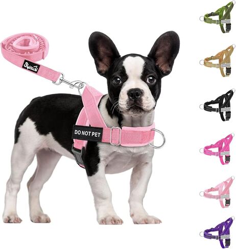 SlowTon No Pull Dog Harness - Heavy Duty Dog Harness and Leash Set for Medium Large Dogs, Reflective Tactical Harness with Soft Padded and Front Clip for Easy Walk and Training (Black L) in Saudi Arabia