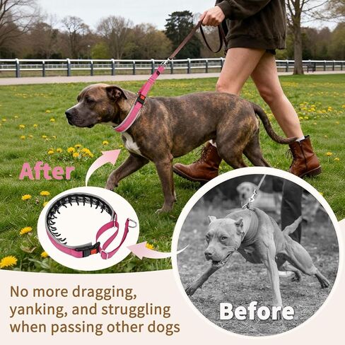 Mayerzon Martingale Dog Collar for Pulling, Patented No Pull Training Walking Collar with Buckle for Medium Large Dogs Bulldog Pitbull German Shepherd, Reflective, Adjustable, Heavy-Duty(M, Hot Pink) in Saudi Arabia