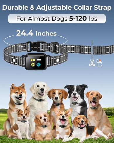 No Shock Dog Training Collar with Remote 3300FT, Humane Vibrating Dog Collar - Vibration & Beep Only | IPX7 Waterproof & Rechargeable | Fits for Small to Medium Dogs & Large Puppies in Saudi Arabia