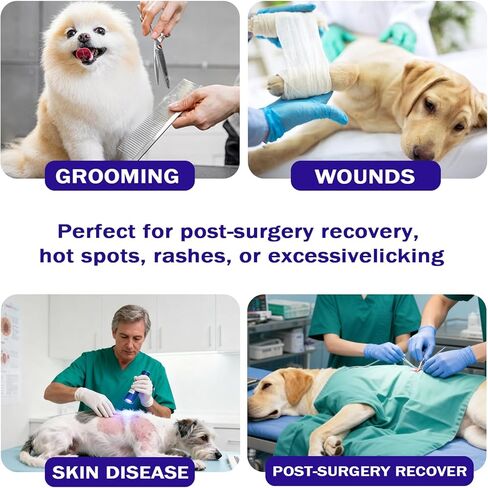 Soft Dog Cone Collar, Adjustable Spay/Neuter Recovery Neck and Head Collar, Soft Dog Tapered Collar for Large/Medium/Small Pets (Blue, M) in Kuwait