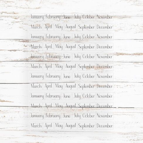 Clear Mini Month Stickers for Planners – Transparent Monthly Header Stickers, Repositionable & Waterproof Calendar Stickers, 360 Stickers, 5 Sheets, Minimal Planner Labels (Lily & Bloom) in Saudi Arabia