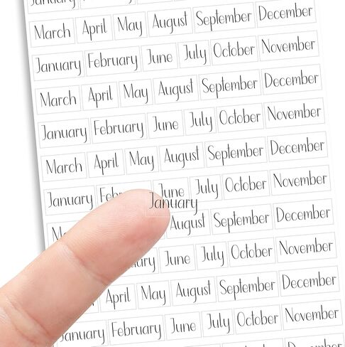 Clear Mini Month Stickers for Planners – Transparent Monthly Header Stickers, Repositionable & Waterproof Calendar Stickers, 360 Stickers, 5 Sheets, Minimal Planner Labels (Lily & Bloom) in Saudi Arabia