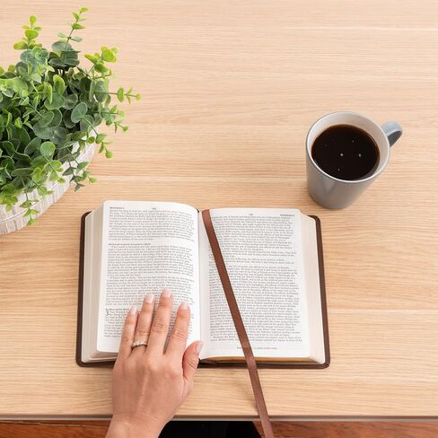 شخصية NASB 1995 الكتاب المقدس المضغوط ذو الطباعة الكبيرة، اسم محفور للكتاب المقدس مخصص، متجذر في تصميم شجرة المسيح، هدية مسيحية، هدية المعمودية in Kuwait