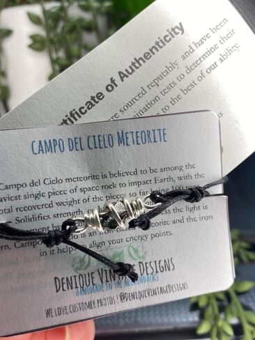Real Raw CampoDelCielo Meteorite Nugget Wire Wrapped Cage Bracelet- Copper-Bronze-Stainless Steel-Silver-14K Gold-14K Rose Gold-on a Leather or Waxed Cord Adjustable Friendship Bracelet- Mens Womens in Saudi Arabia