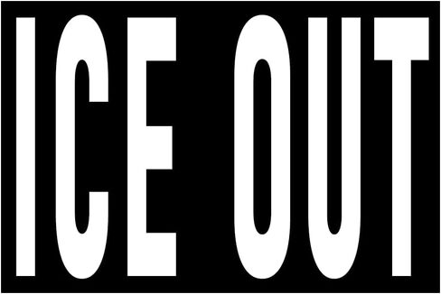 4 ICE Out Stickers 3x2 Cool Protest Trump Immigration Sticker in Kuwait