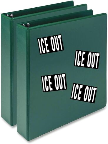 4 ICE Out Stickers 3x2 Cool Protest Trump Immigration Sticker in Kuwait