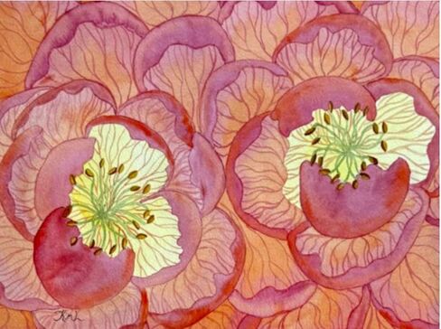 Painting Watercolor Wall Art Flower Peony Orange Coral Yellow Green Brown 11x14 White Mat 16x20 Hand Painted Home Decor in Saudi Arabia