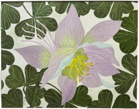 Painting Watercolor Wall Art Original Columbine Flower Lavender Purple Blue Yellow Green Leaves 11x14 White Mat 16x20 Hand Painted Home Decor in Saudi Arabia