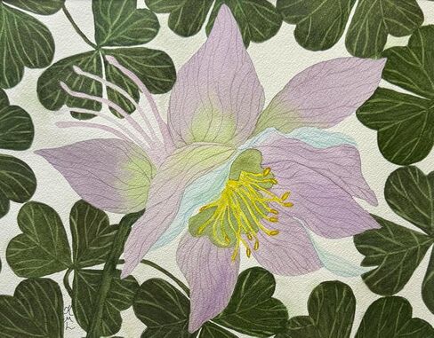 Painting Watercolor Wall Art Original Columbine Flower Lavender Purple Blue Yellow Green Leaves 11x14 White Mat 16x20 Hand Painted Home Decor in Saudi Arabia
