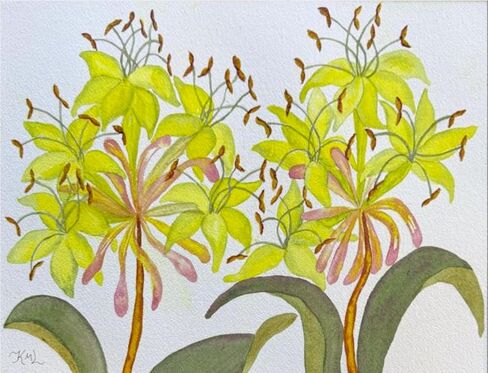 Painting Watercolor Wall Art Original Flower Sunflower Yellow Brown Orange Green Leaves 11x14 White Mat 16x20 Hand Painted Home Decor in Saudi Arabia
