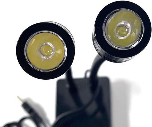 مصدر ضوء مجهر كشاف، مكتب USB صغير LED مزدوج أضواء معقوفة مضيئة لكاميرا مجهر ستيريو عدسة تكبير فيديو صناعية على شكل C لإصلاح لحام PCB Lab in Kuwait