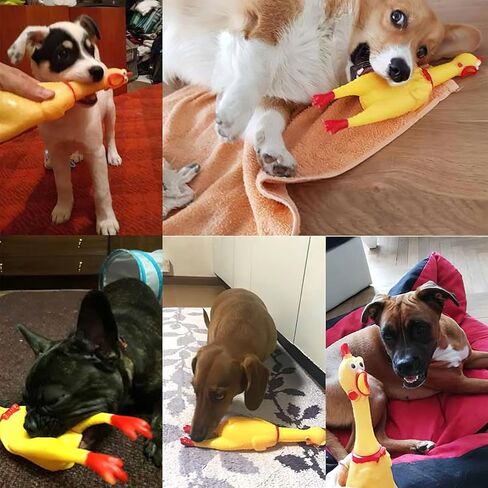 POPLAY Screaming Chicken, Squeaky Chicken Dog Toys Prank Novelty Gag Gifts Party Games Favors for Kids Adults in Saudi Arabia