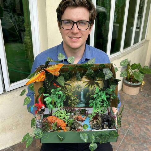 Teyva Daily 48 Pcs Rainforest Diorama Box Kit Habitat Project Box Kit Diorama Supplies Set Include Animal Model Figures Artificial Trees Fake Rocks with Gift for DIY Crafts Birthday Gifts(Rainforest) in Saudi Arabia