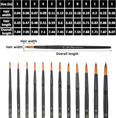 12 قطعة من فرش الطلاء بالألوان المائية للفنانين، مجموعة فرش الألوان المائية الاحترافية، فرش طلاء دائرية بأحجام مختلفة، فرشاة رسم تفصيلية للألوان المائية والأكريليك والحبر والغواش والزيت، أسود in Kuwait
