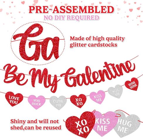 Be My Galentine Banner Happy Galentine’s Day Decoration Celebrate Girl Female Friendship Valentine Party Decor Glitter Red and Pink Valentine‘s Day Decoration in Kuwait