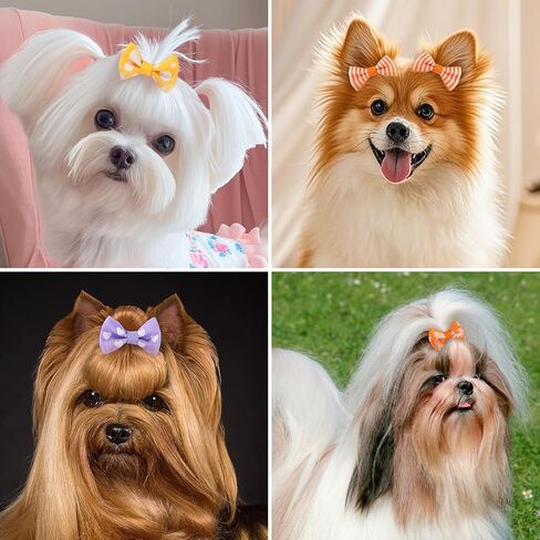 60 قطعة من فيونكات شعر الكلاب الصغيرة مع مشابك معدنية، مشبك شعر للكلاب مقاس 1.5 بوصة لتصفيف الحيوانات الأليفة in Kuwait