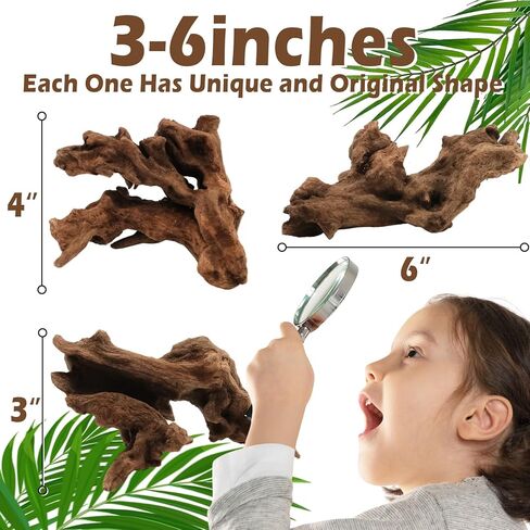 6 قطع من الخشب الطبيعي لحوض السمك وخزان الزواحف، 3-6 بوصات ديكور خشبي فريد لخزان الأسماك والسلاحف والسحالي والثعابين والخشب الطبيعي لديكور المنزل in Kuwait