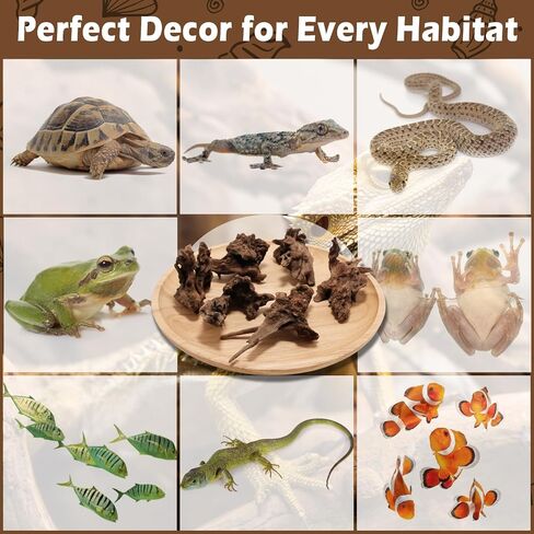 6 قطع من الخشب الطبيعي لحوض السمك وخزان الزواحف، 3-6 بوصات ديكور خشبي فريد لخزان الأسماك والسلاحف والسحالي والثعابين والخشب الطبيعي لديكور المنزل in Kuwait