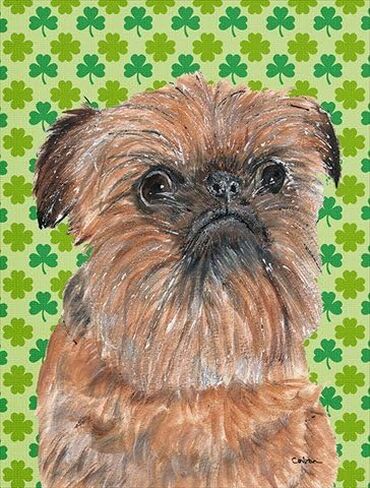 Brussels Griffon St Patricks Irish Flag Canvas House Size in Saudi Arabia