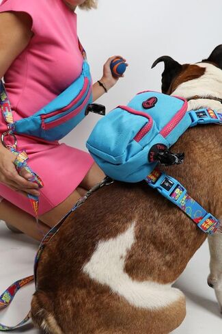 Pawlook Hands-Free Dog Walking Belt Bag – Blue in Saudi Arabia