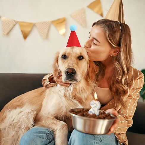 12 PCS Mini Party Hats for Stuffed Animals Birthday Felt Cone Hat with Pompom Adjustable Pets Birthday Party Hats for Assorted Animal Dog Cat Rabbit Puppies Costume Accessories Decor in Saudi Arabia
