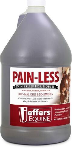 Jeffers Equine Pain-Less Paste for Horses – 30cc Easy Dose Syringe – Support Healthy Inflammatory Response, Comfort – Devil’s Claw, Yucca, and Vitamin B-12 – Gentle on Stomach – Made in The USA in Saudi Arabia
