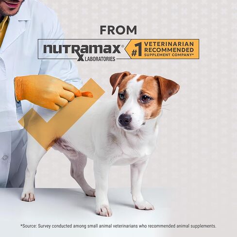 Nutramax Filaquin Anal Gland Supplement for Dogs, from The Same Company as Cosequin & Proviable, with Pre & Postbiotics and Psyllium Husk Fiber to Support Anal Gland Health, 90 Count Soft Chews in Saudi Arabia