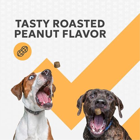 Nutramax Filaquin Anal Gland Supplement for Dogs, from The Same Company as Cosequin & Proviable, with Pre & Postbiotics and Psyllium Husk Fiber to Support Anal Gland Health, 90 Count Soft Chews in Saudi Arabia