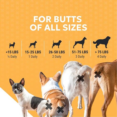 Nutramax Filaquin Anal Gland Supplement for Dogs, from The Same Company as Cosequin & Proviable, with Pre & Postbiotics and Psyllium Husk Fiber to Support Anal Gland Health, 90 Count Soft Chews in Saudi Arabia