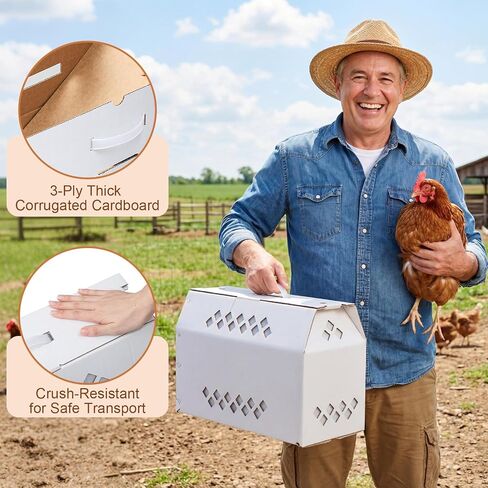 6 Pack Single Live Chicken Shipping Box, 17.7"L x 7.8"w x 11.8"h Cardboard Live Bird Carrier Box with Ventilation Holes Handle, Thickened Corrugated Paper for Poultry, Pets, Small Animals in Saudi Arabia