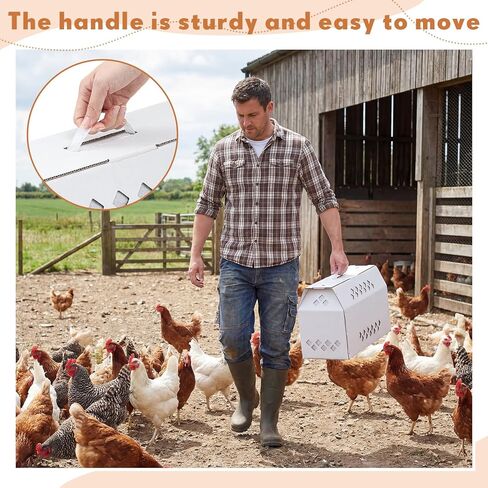 6 Pack Single Live Chicken Shipping Box, 17.7"L x 7.8"w x 11.8"h Cardboard Live Bird Carrier Box with Ventilation Holes Handle, Thickened Corrugated Paper for Poultry, Pets, Small Animals in Saudi Arabia