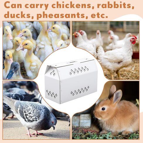 6 Pack Single Live Chicken Shipping Box, 17.7"L x 7.8"w x 11.8"h Cardboard Live Bird Carrier Box with Ventilation Holes Handle, Thickened Corrugated Paper for Poultry, Pets, Small Animals in Saudi Arabia